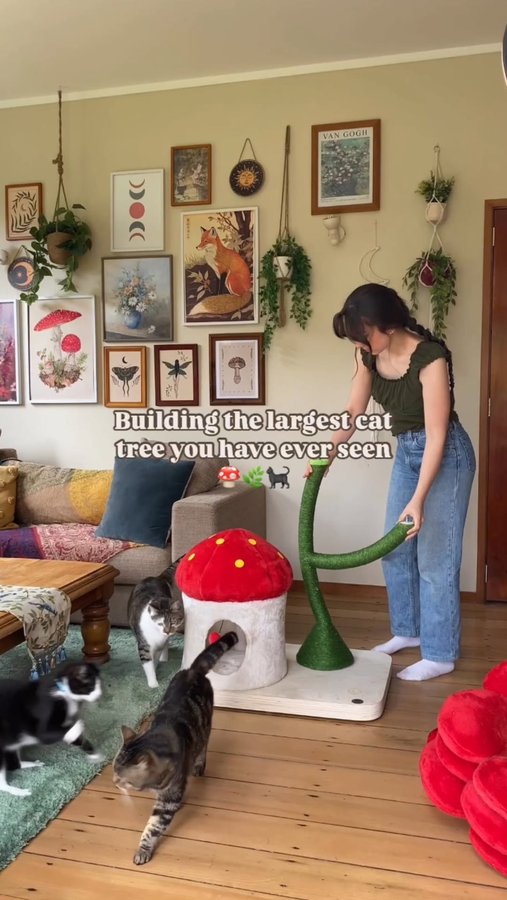 Instagram post by @shonalalena for KBSPETS. Caption reads: [...] out 🫶🏻 This stunning cat tree is from....