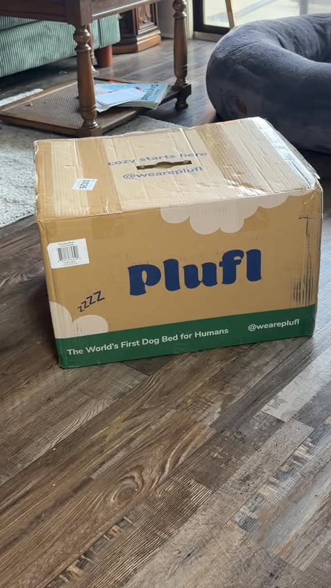 Instagram post by @moronic_mouse for Plufl. Caption reads: [...] money with my link >:3 

thank you....