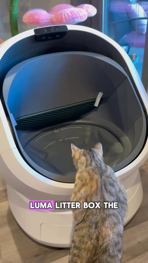 Instagram post by @melodyandjiggy for Petlibro. Caption reads: This litterbox is smarter than me 🤯 @petlibro....