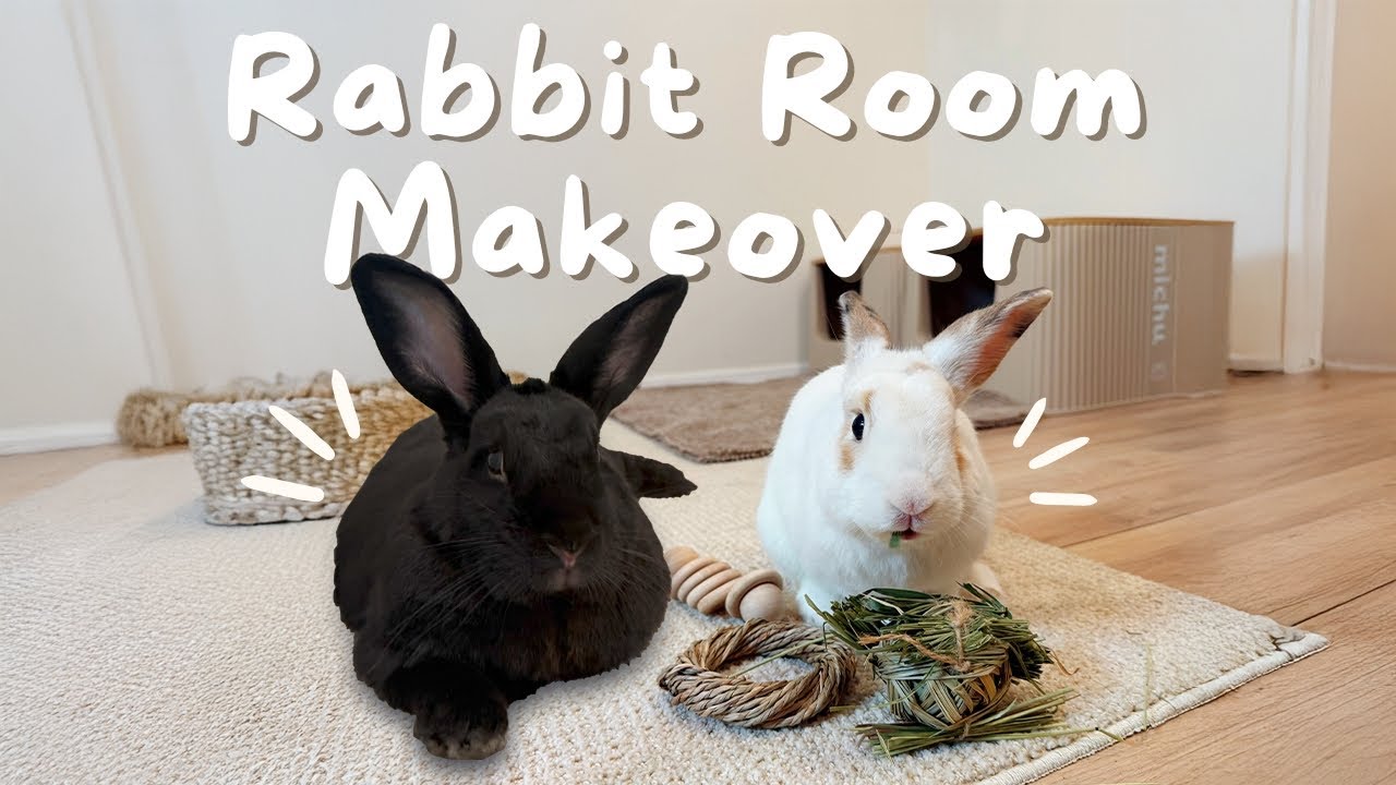 YouTube post by @ThePigRoom for MICHUPET. Caption reads: Bunny Room Makeover! 🐰 + GIVEAWAY.