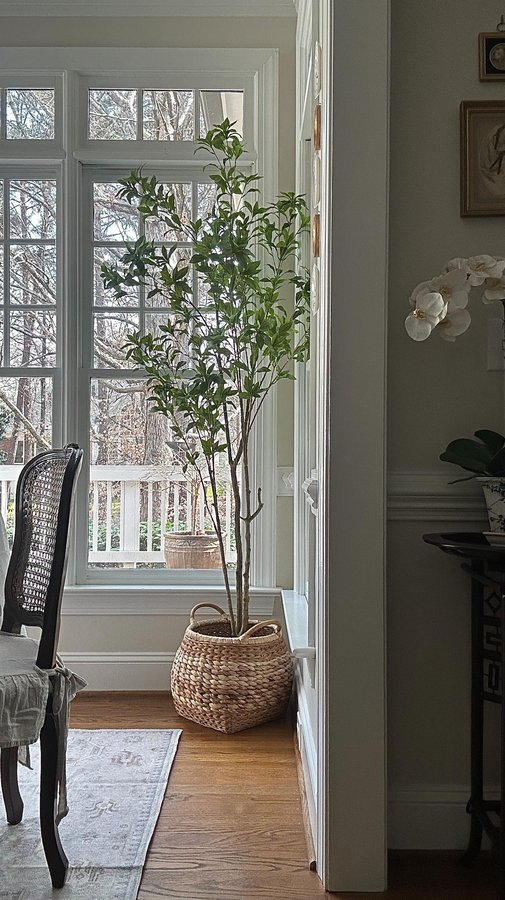 Instagram post by @southern_charm_cottage for Nearly Natural. Caption reads: [...] beautiful faux plants and trees from....