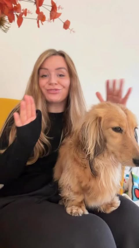 Instagram post by @shan_and_wilson for Zesty Paws. Caption reads: @zestypawsuk making my life 10x easier [...].