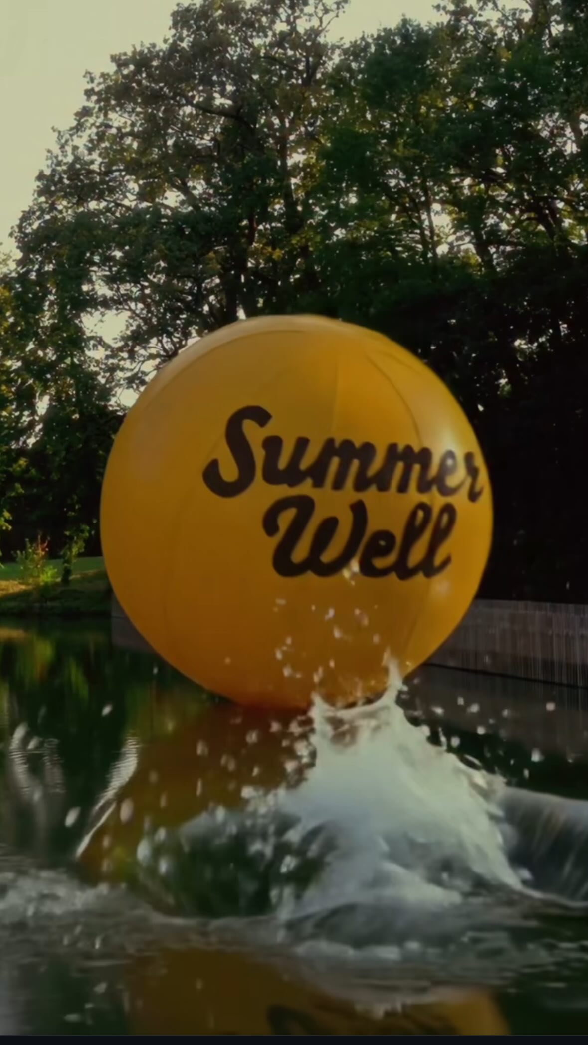 Instagram post by @summerwellfest for Orange. Caption reads: Together since the very first Summer Well for the....