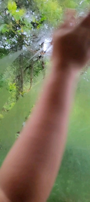 Instagram post by @home_heavenofmyeyes for The Pianosa Project. Caption reads: #ad 💦 It’s raining deals at Amazon’s Monsoon....