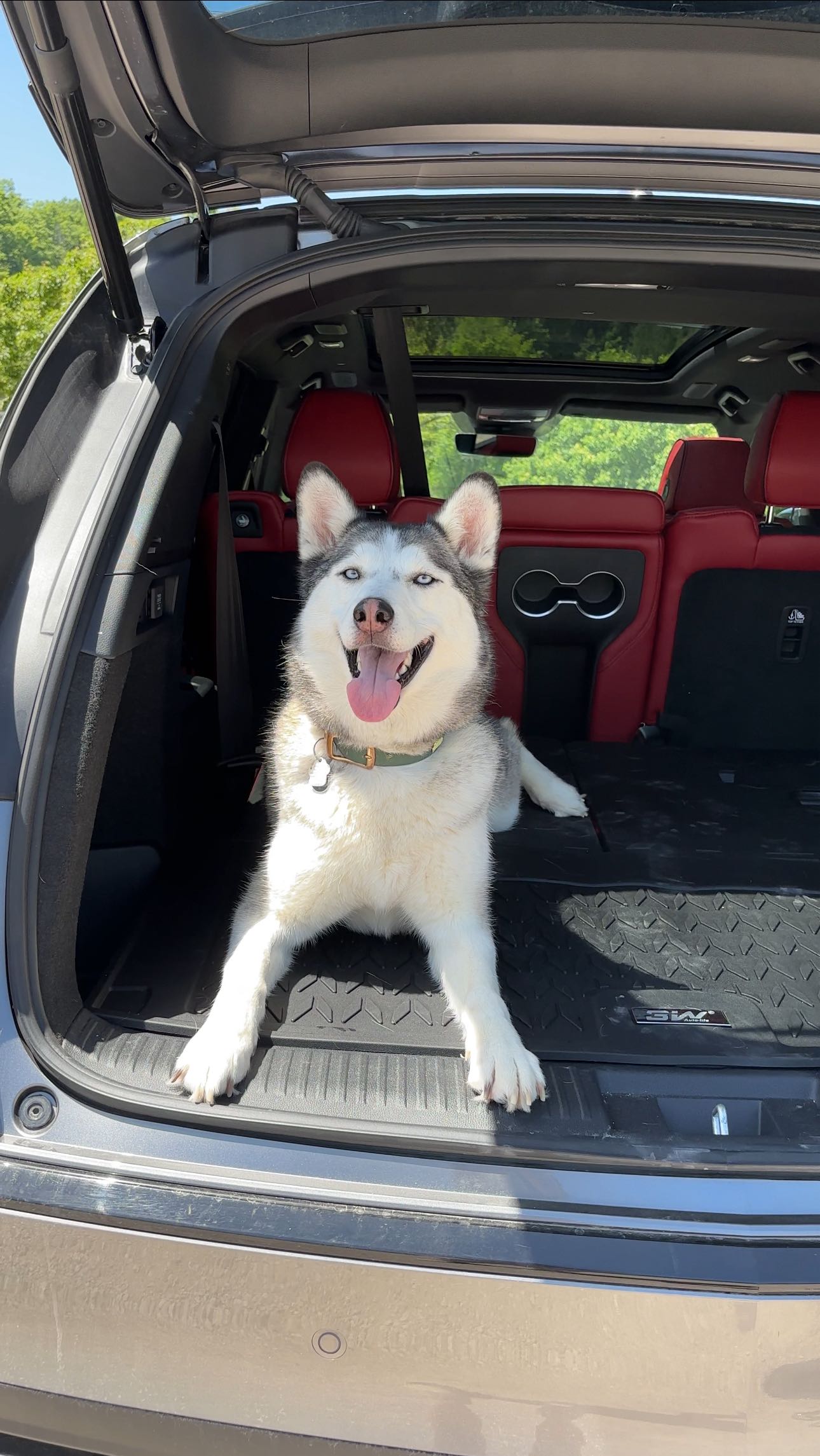 Instagram post by @ontariohuskies for 3Wliners. Caption reads: [...] my car from the mess after a hike....