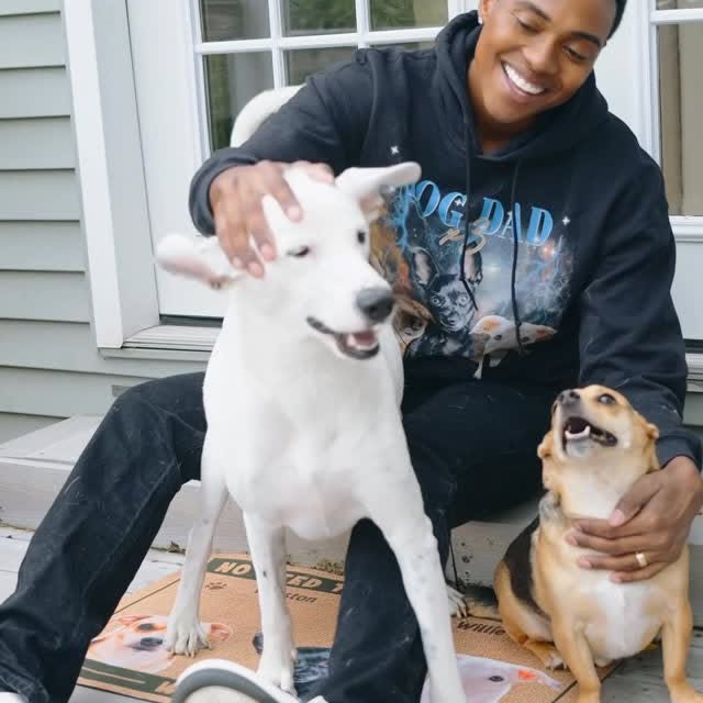 Instagram post by @luda_ for Pawfect House. Caption reads: [...] custom decor 🐶🐾 These finds from....