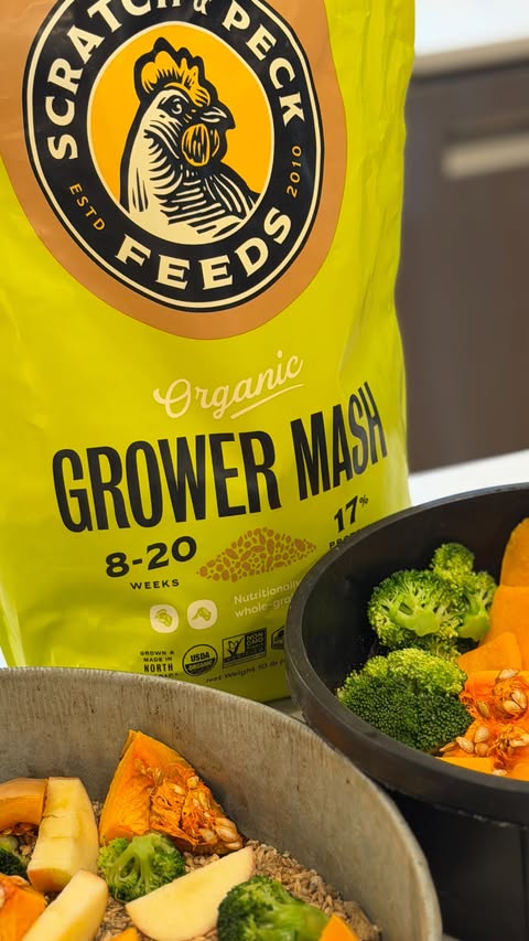 Instagram post by @purelychickens for Scratch and Peck Feeds. Caption reads: [...] Chickuterie …
🌾 @scratchandpeckfeeds grower....