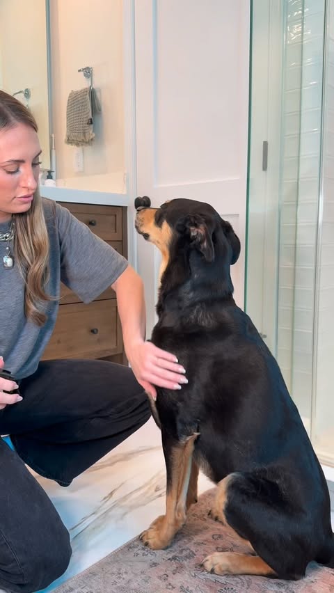 Instagram post by @brookie_dickerson for The Farmer's Dog. Caption reads: [...] with happy dogs? All thanks to the....