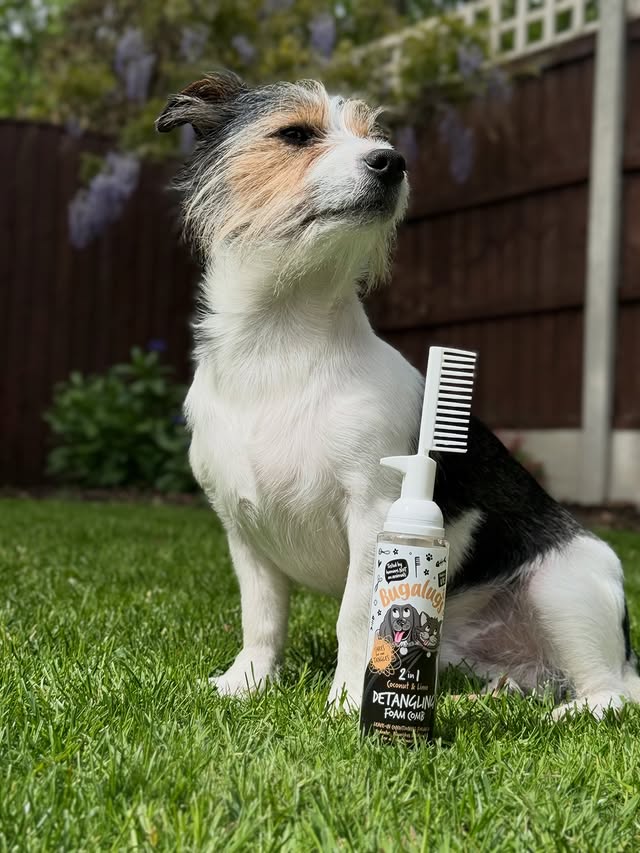 Instagram post by @walkies_with_woody for Bugalugs Pet Care. Caption reads: [...] sent this detangling foam comb from....