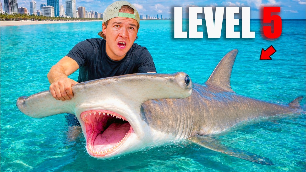 YouTube post by @MoreFishGuys for BLUETTI