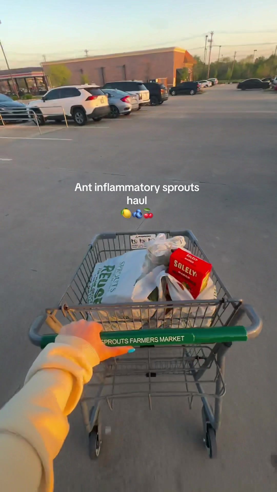 TikTok post by @ninabucksner for Solely. Caption reads: Here’s a *very realistic* anti inflammatory....