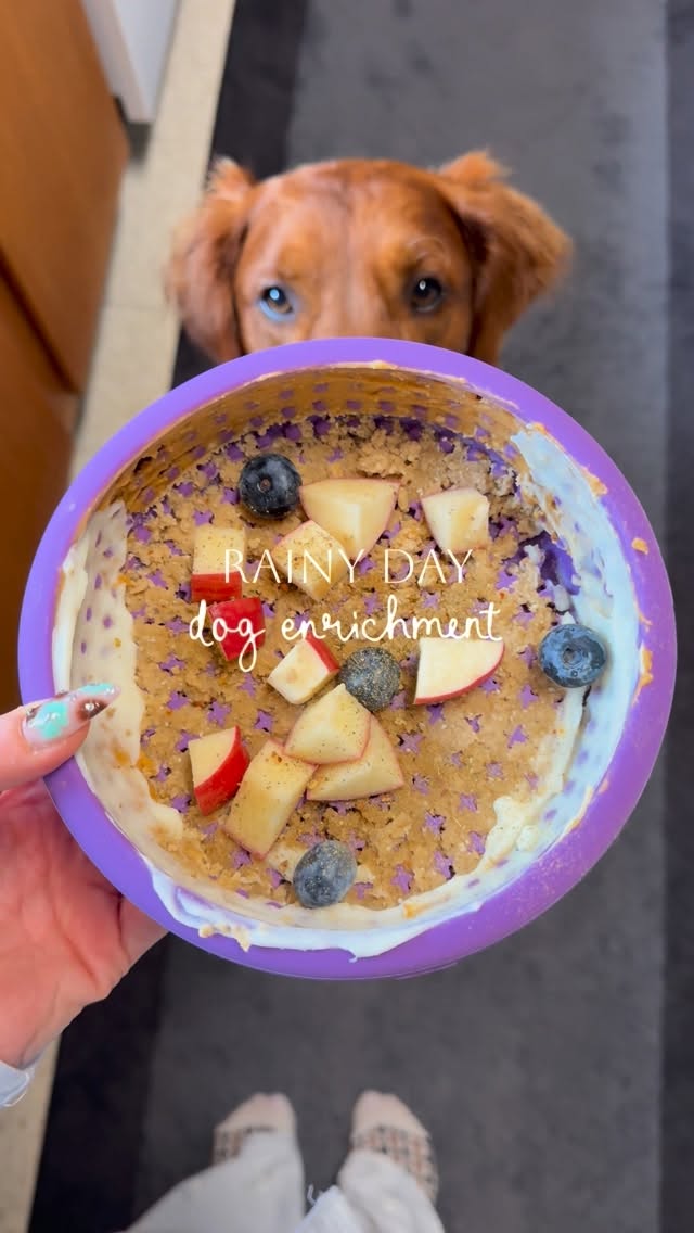 Instagram post by @cissathegoldenpup for Open Farm Pet. Caption reads: [...] link in bio 🔗 You can also save on....