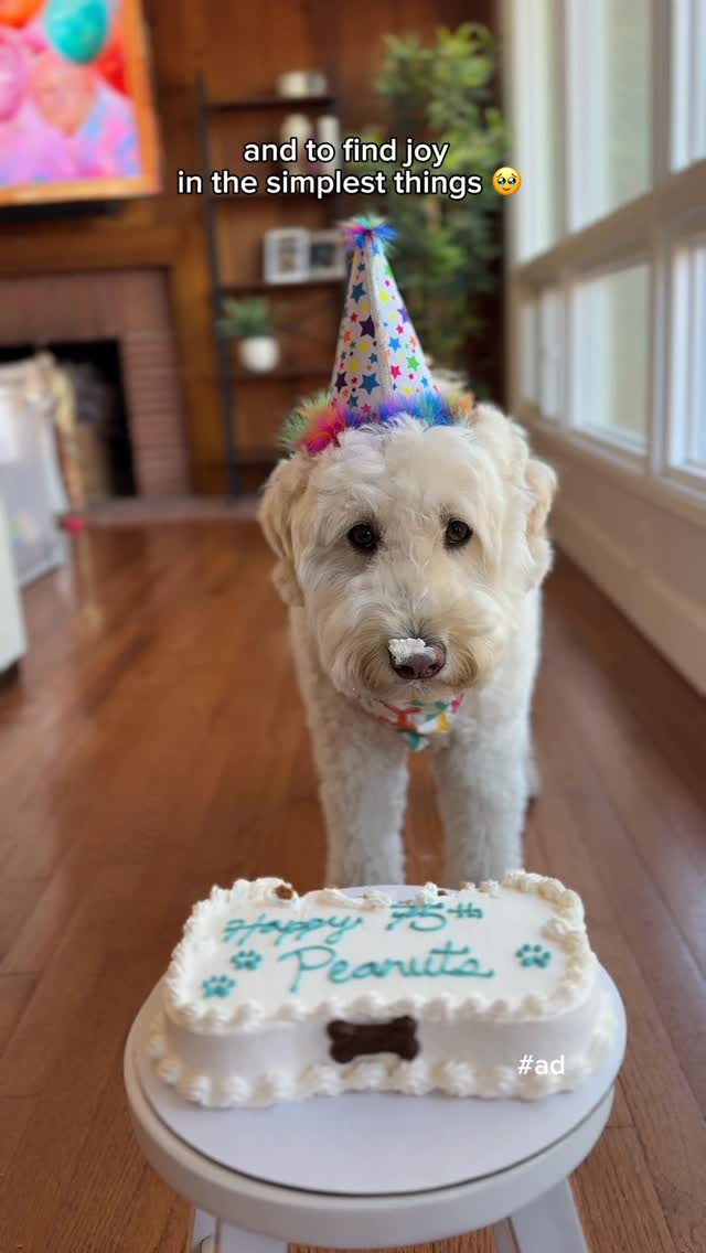 Instagram post by @mostlythedoodle for Snoopy and The Peanuts Gang. Caption reads: [...] fun, and the timeless joy of Snoopy and the....