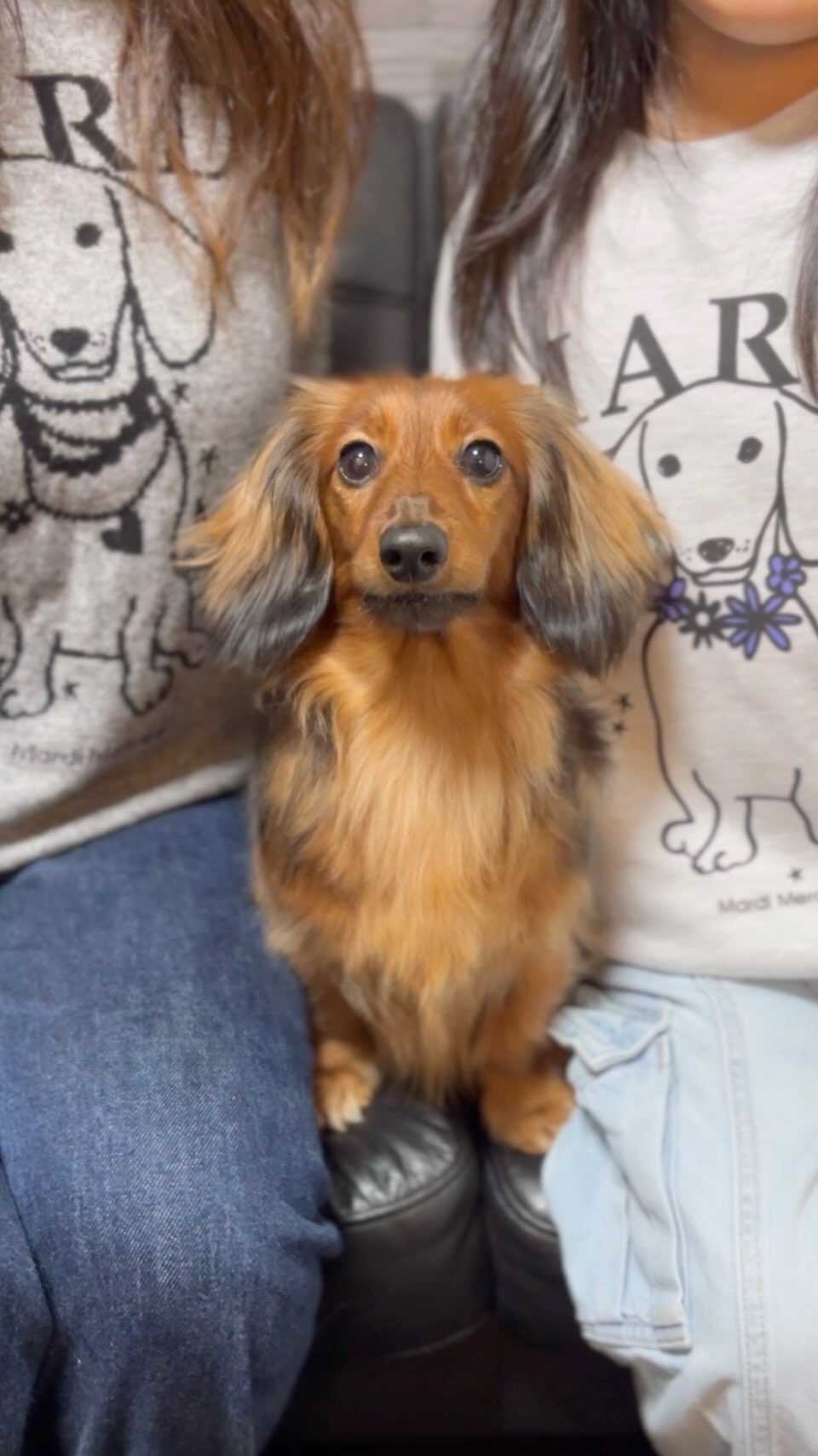 Instagram post by @wabisabi_no_wabi for Mardi Mercredi. Caption reads: Mardi....