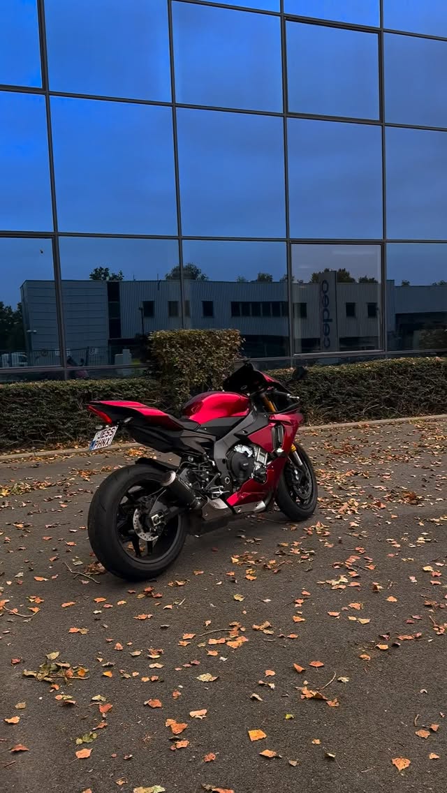 Instagram post by @jessicaaphoenix for Monster Fairings. Caption reads: Puis merde on vit qu’une fois 🫩

@bonafide - use....