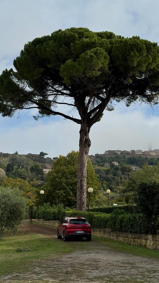 Instagram post by @maia_andrews for Alfa Romeo. Caption reads: a dream trip with @alfaromeoofficial 🇮🇹.