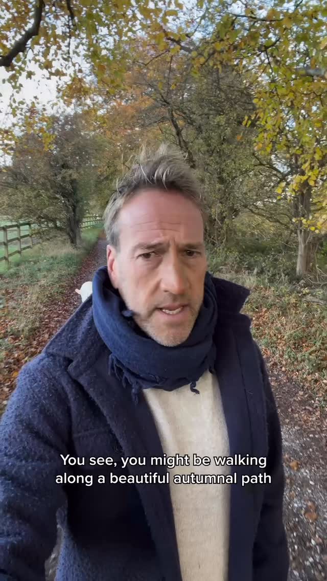 Instagram post by @benfogle for Tractive. Caption reads: Look after your best friend this firework season....