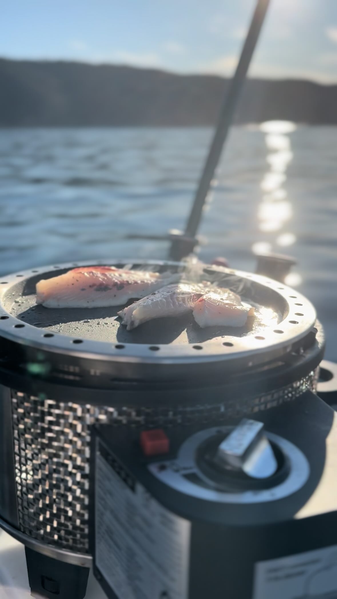 Instagram post by @eatwhatyoukill.co.nz for ShimanoFishing Japan. Caption reads: From ocean to plate in under an hour 🌊⚡️ Nothing....