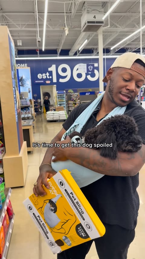 Instagram post by @miloandnoah for Petco. Caption reads: #ad Took puppy Caesar to the new @Petco in....