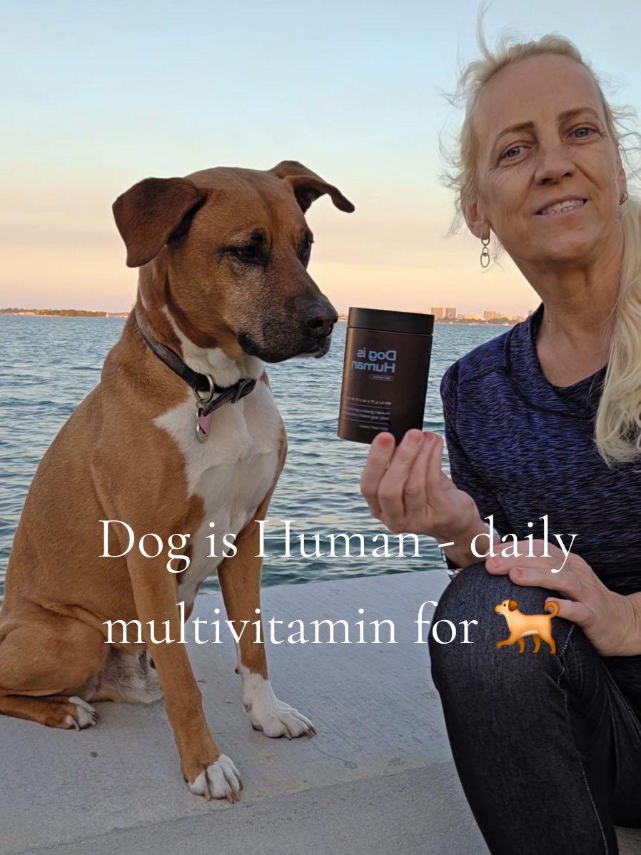 TikTok post by @funwithromi8 for Dog is Human. Caption reads: Dog is Human is multivitamin for dogs making [...].