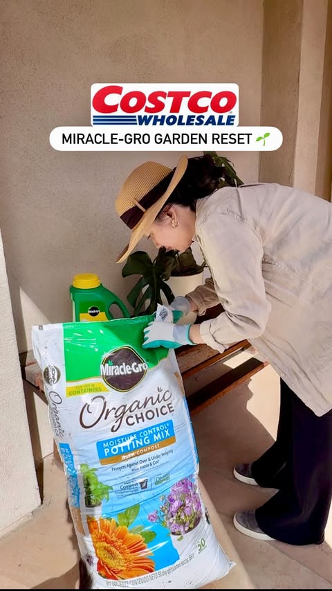 Instagram post by @costcoclaudia for Miracle-Gro. Caption reads: #AD @miraclegro @costco helping my parents [...].
