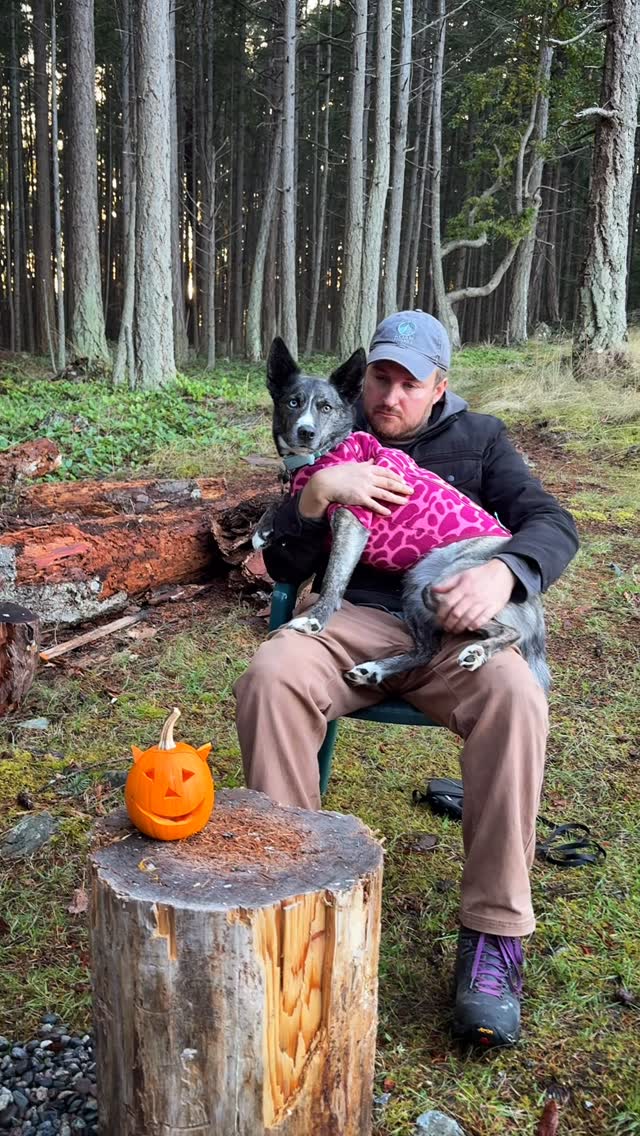 Instagram post by @adventuresofzorra for Ruffwear. Caption reads: Priorities

Nothing better than a cozy fall fire,....