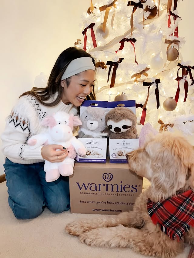 Instagram post by @lifewithteddy.thedoodle for Warmies. Caption reads: [...] and his mom got a Christmas gift from....