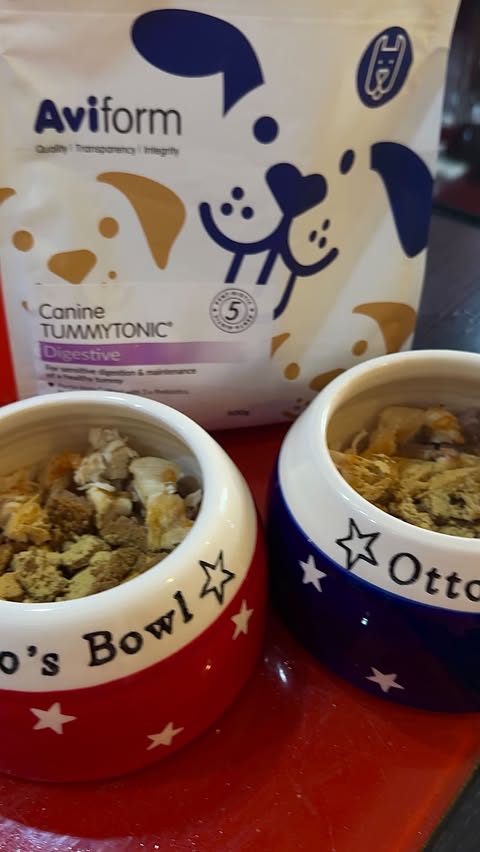 Instagram post by an influencer for Aviform Ltd. Caption reads: AD/Tummy Tonic by @aviformanimalhealth 🇬🇧 A....