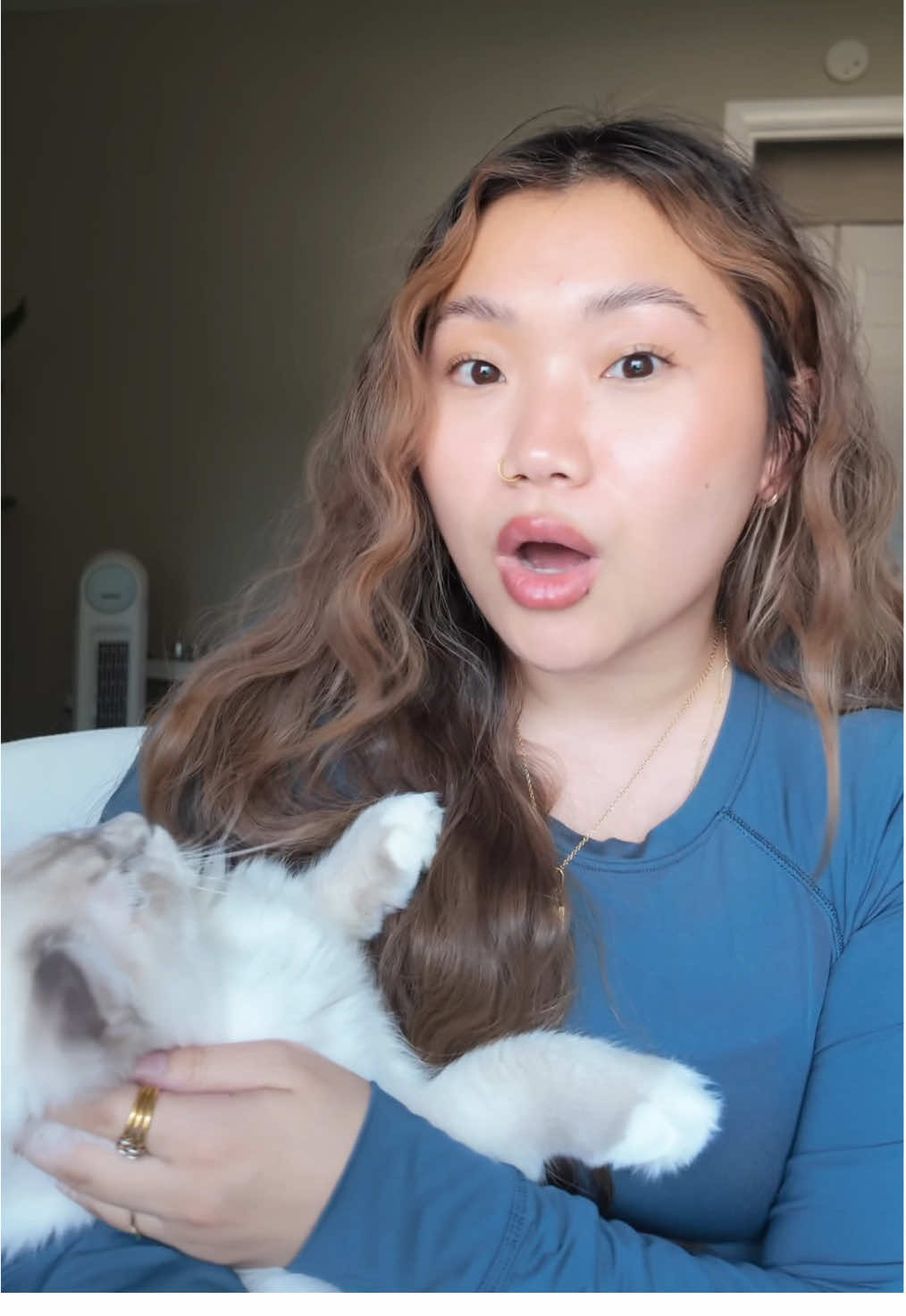 TikTok post by @kaemchxng for Uahpet Shop US. Caption reads: [...] so important for me and the cats💧@Uahpet....