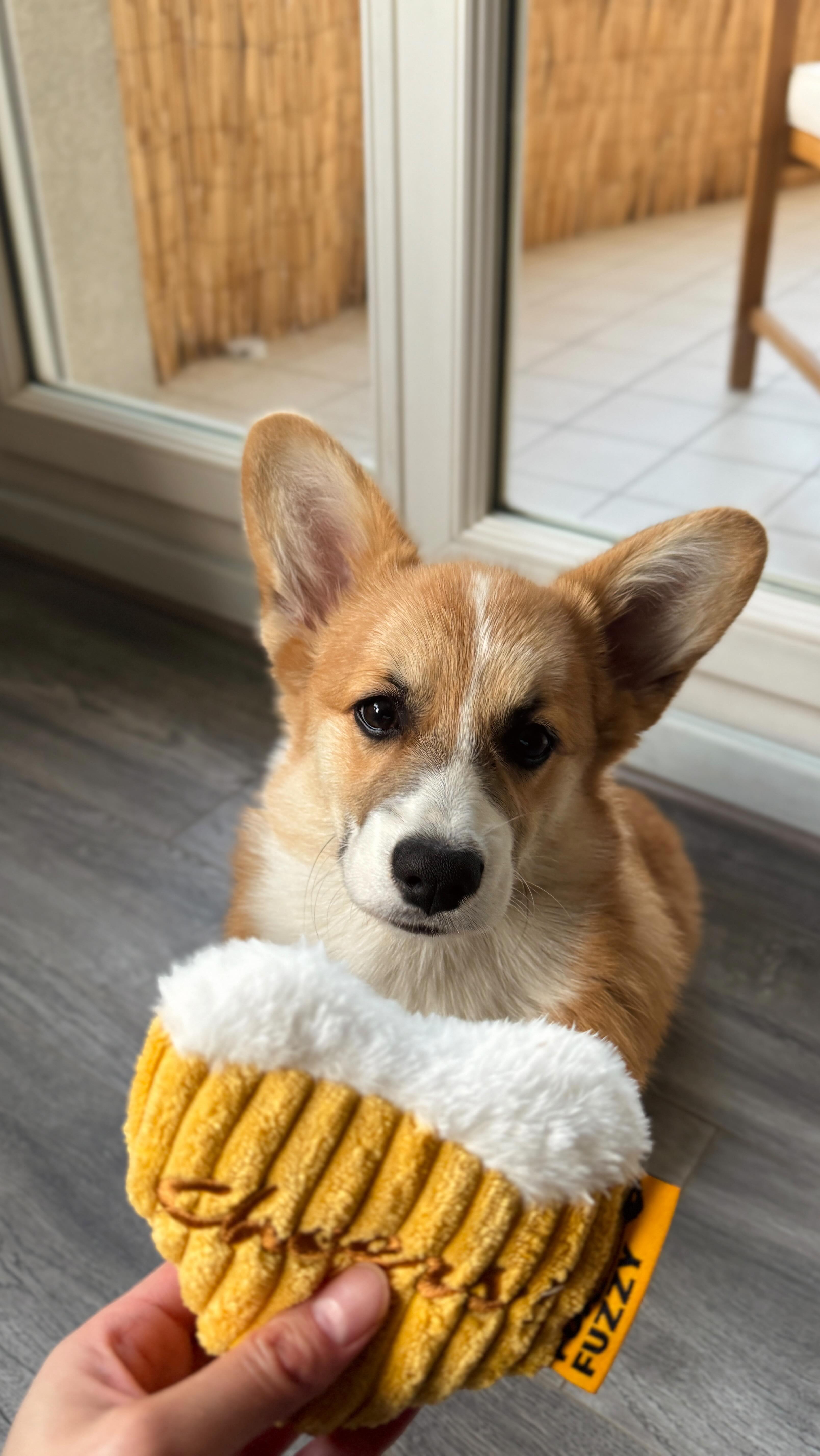 Instagram post by @muffinandbacon for FunnyFuzzy. Caption reads: [...] came true 🎁
A whole box of toys from....