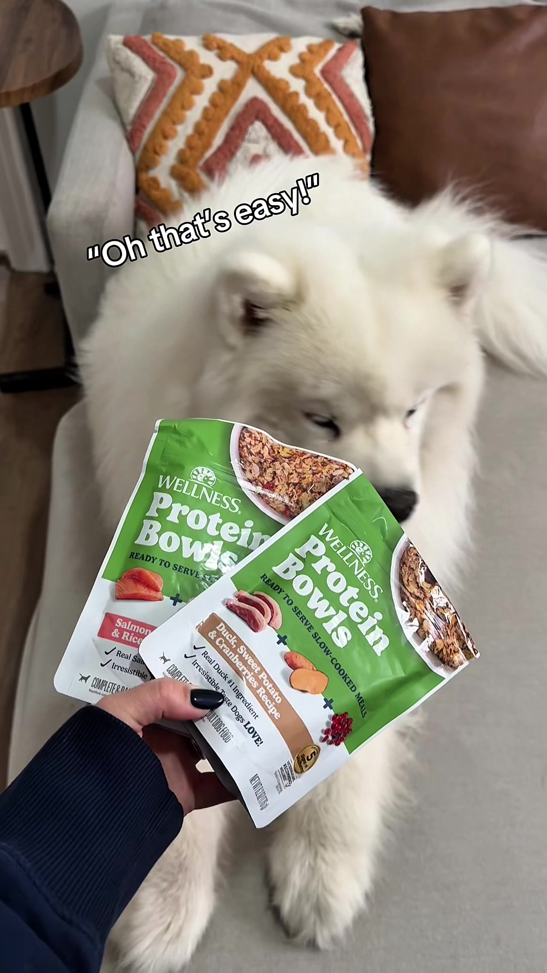 TikTok post by @biffthesamoyed for Wellness Pet Food. Caption reads: [...] @PetSmart with the link in my bio.....