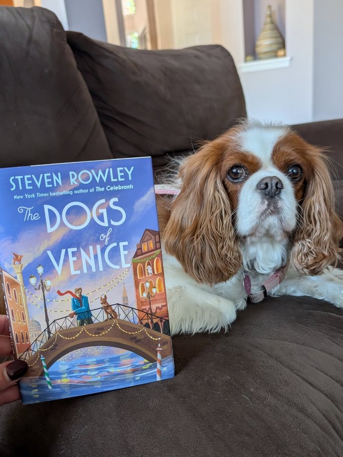 Instagram post by @webreakforbooks for Putnam Books. Caption reads: Thank you @putnambooks for my gifted....