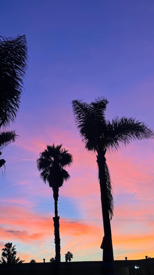 Instagram post by @nataliaaseliger for Sprout Living. Caption reads: [...] 🥄🍎🛒🤝 shop you’re favorite @sproutliving....