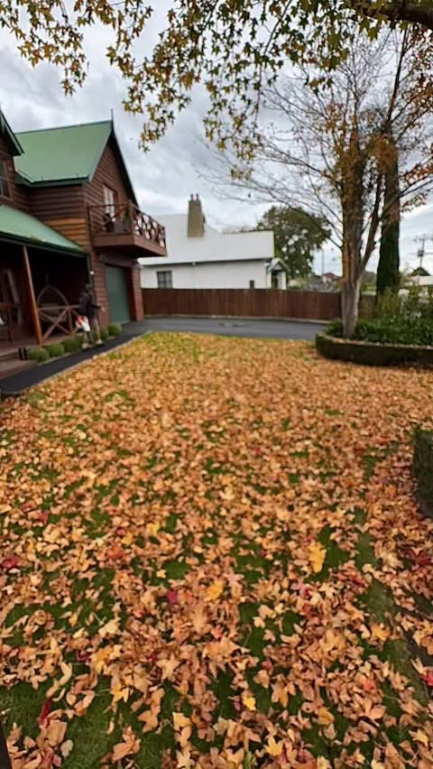 Instagram post by @diamond_quality_gardens for STIHL. Caption reads: The STIHL BGA 160 battery blower will get the end....