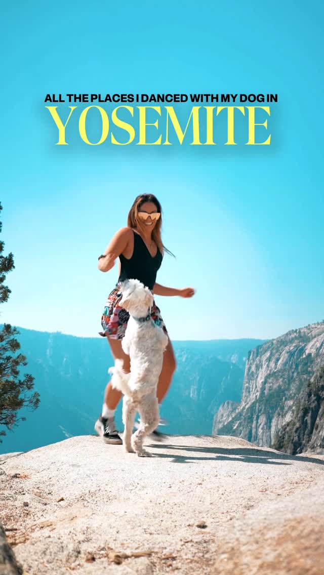 Instagram post by @torinishino for Wellness Pet Food. Caption reads: Bon Bon is the best little adventure buddy 🐶🥾⛰️....