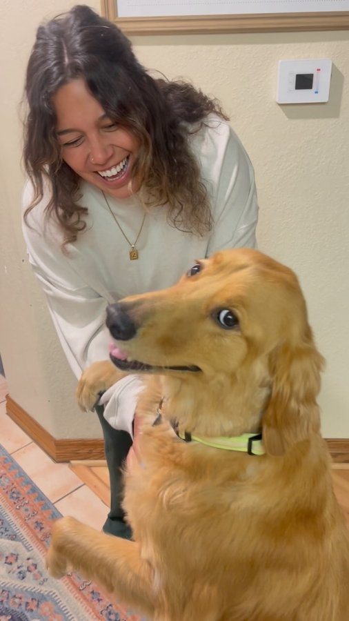 Instagram post by @smashleybourne for Natural Dog Company. Caption reads: Bubba is a big fan of @naturaldogcompanys....