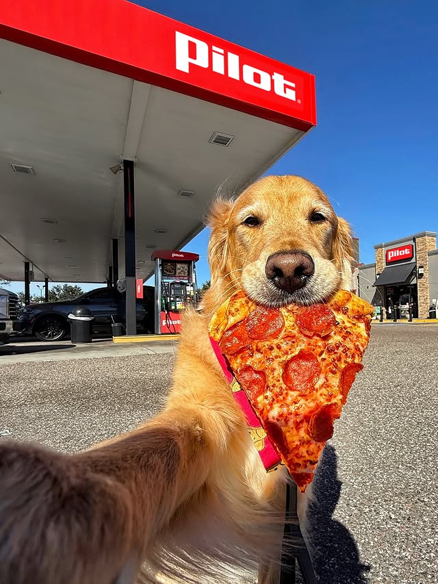 Instagram post by an influencer for Pilot Flying J. Caption reads: [...] Pizza Day!🍕 Today, @pilotflyingj is....