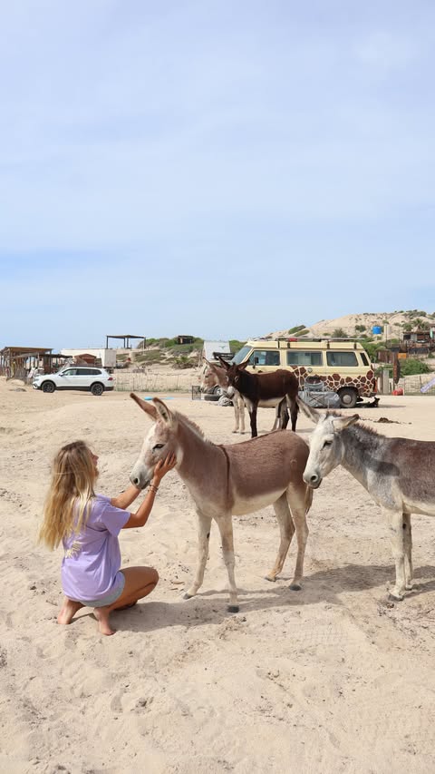 Instagram post by @amy.timmerman for SafetyWing. Caption reads: @amy.timmerman is a Canadian surfer who now lives....