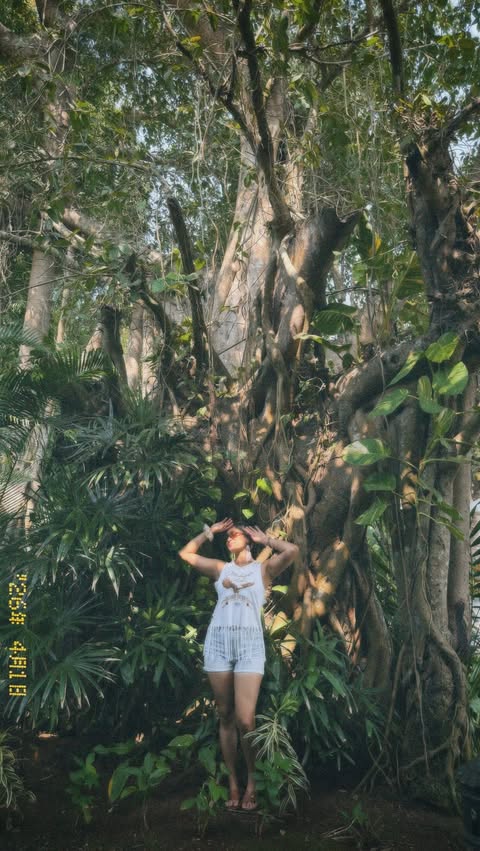 Instagram post by @deeptisati for StayVista. Caption reads: [...] again to Goa ‘Dimora by the sea ‘ by....