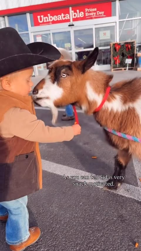 Instagram post by @wild_wood_farm for Tractor Supply. Caption reads: Sid got to go Christmas Shopping at our local....