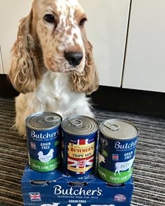 Instagram post by @englishcockersni for Butcher's Dog Food. Caption reads: To celebrate Butcher's move towards plastic free,....