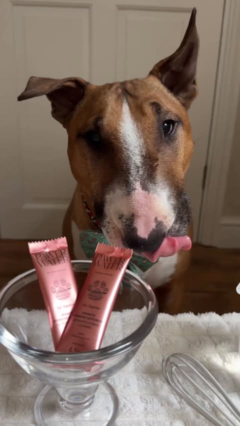 Instagram post by @barkley.ebt for Pawer Water. Caption reads: [...] give 😘 I’ll be staying hydrated with....