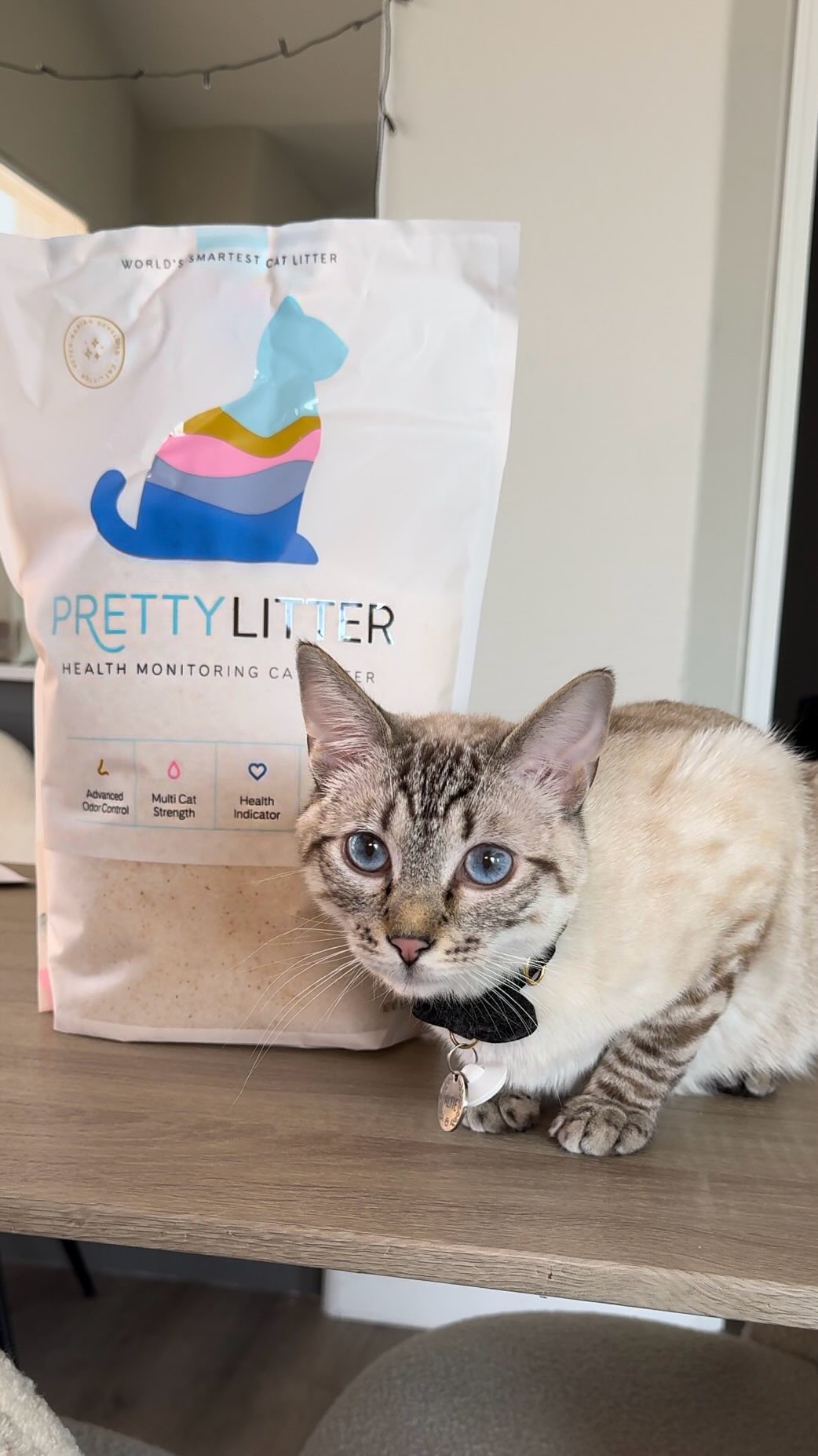 Instagram post by @myarloandalfie for Prettylitter. Caption reads: Say goodbye to smelly litter boxes and hello to a....