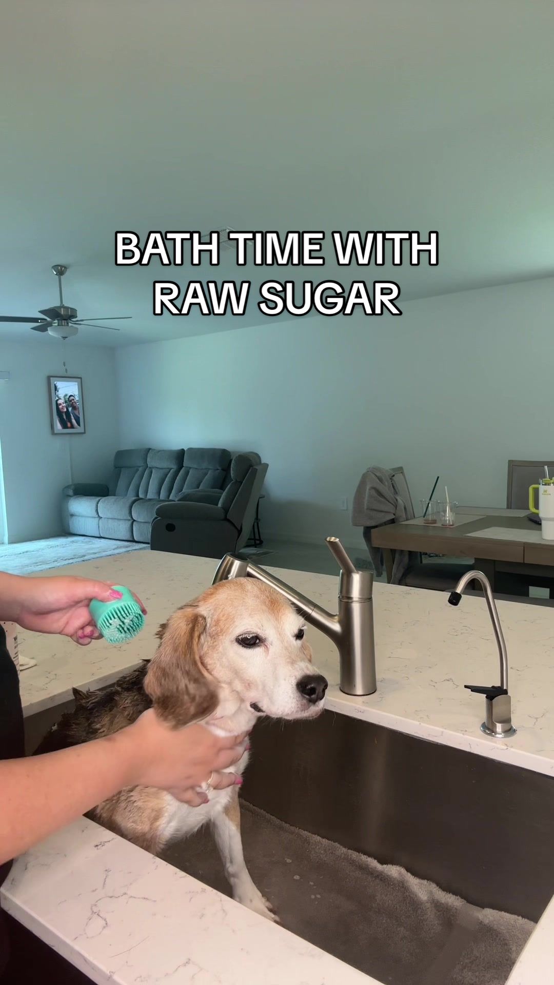 TikTok post by @sammcgraww for Raw Sugar Living. Caption reads: This cruelty free brand just released a product....