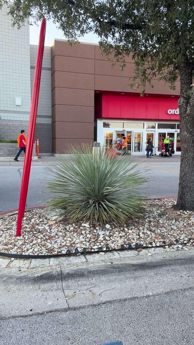 Instagram post by @jvayavinat for Vita Coco. Caption reads: [...] Orange and Creme Treats from @vitacoco ? 🍊....