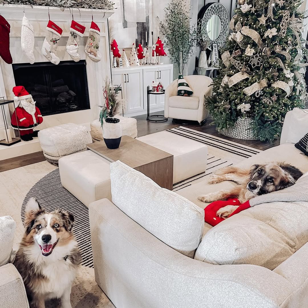 Instagram post by @thedigifam for Boutique Rugs. Caption reads: [...] included some of our favorites from....