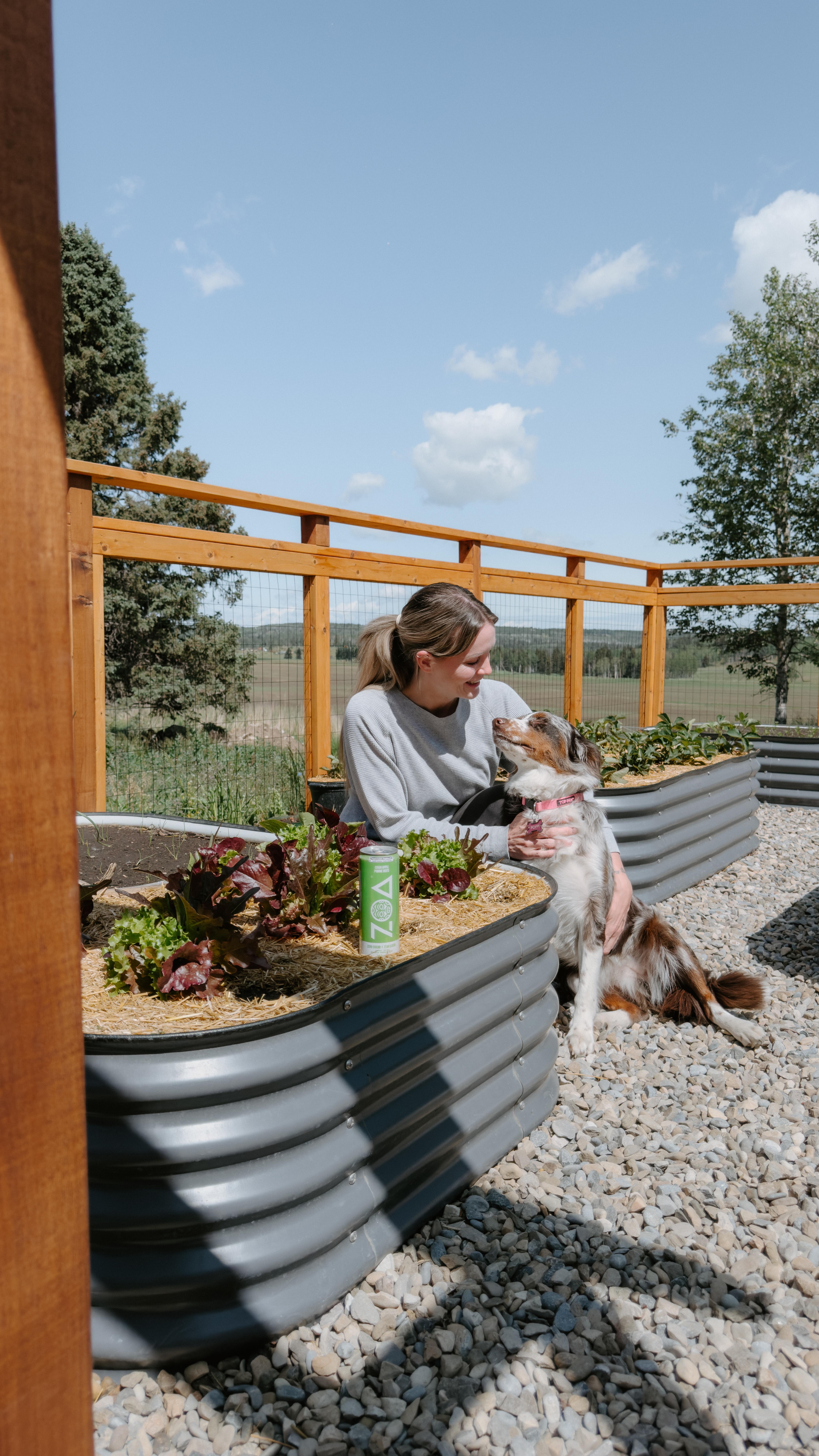 Instagram post by @todaysmodernbebe for ZOA Energy. Caption reads: [...] Thankfully, I stocked up on @ZOAEnergy ’s....