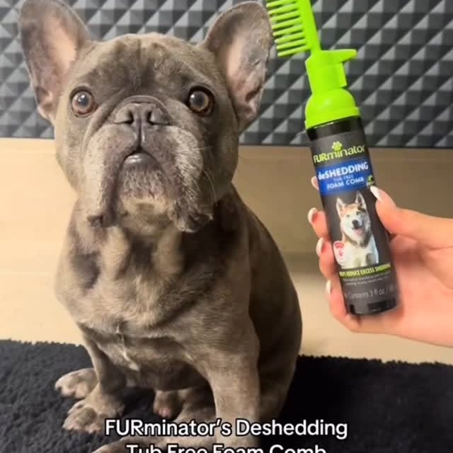 Instagram post by @winstonthefrenchiee_ for FURminator. Caption reads: #ad I like to get down and dirty… but that....