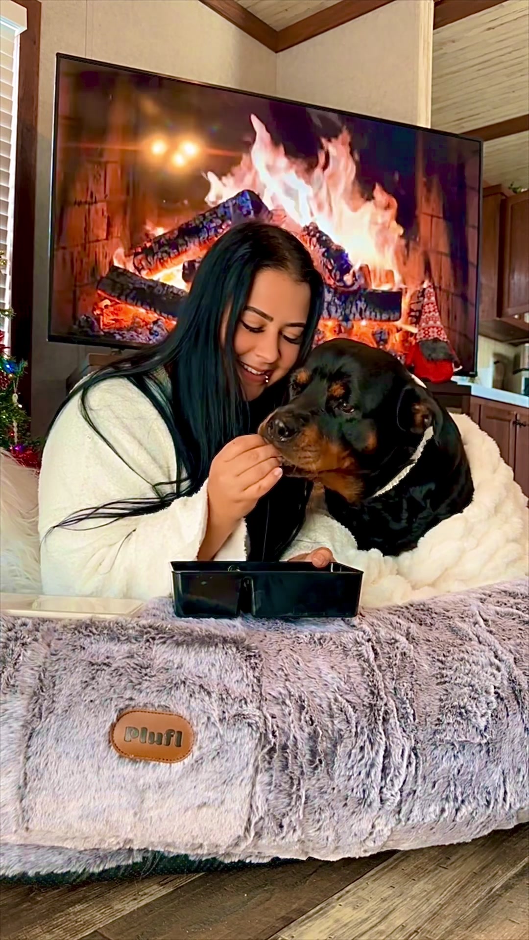 TikTok post by @alyssasanimalsanctuary for Plufl. Caption reads: [...] Dog Bed cuddling with Amelia🐻✌️😹😻@Plufl....