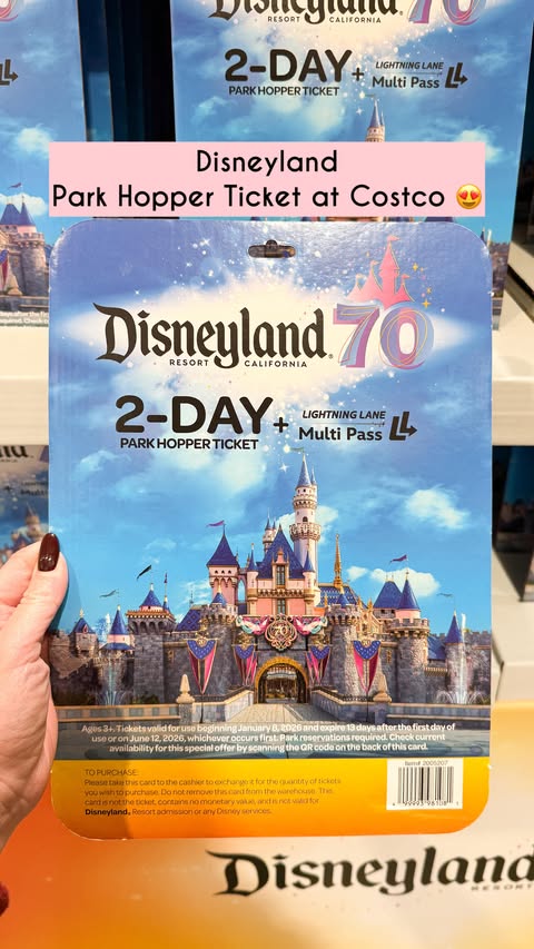Instagram post by @costcoaisles for Disneyland. Caption reads: Here is another exciting Costco find, Disneyland....